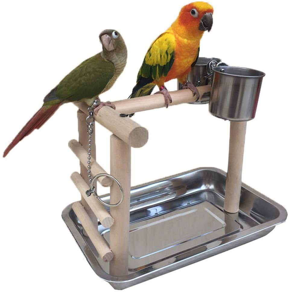 LOVIVER Bird Perch, Parrot Training Stand, Play Gym Tabletop with 2 Feeder Cups Animals & Pet Supplies > Pet Supplies > Bird Supplies > Bird Gyms & Playstands LOVIVER   