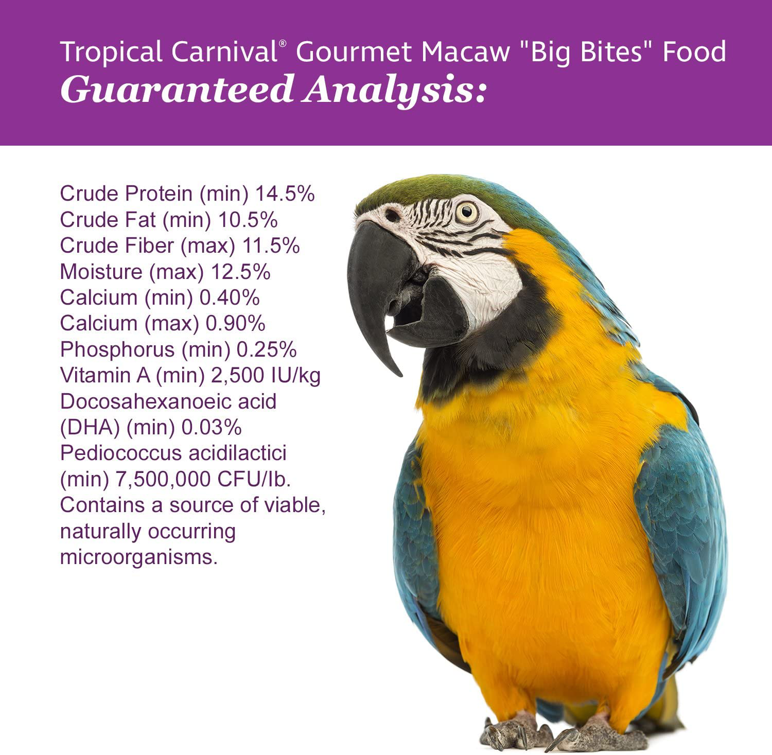 Tropical Carnival F.M. Brown'S, Gourmet Macaw Food Big Bites for Big Beaks - Seeds, Veggies, Fruits, and Nuts with Probiotics Animals & Pet Supplies > Pet Supplies > Bird Supplies > Bird Food Fm Browns   