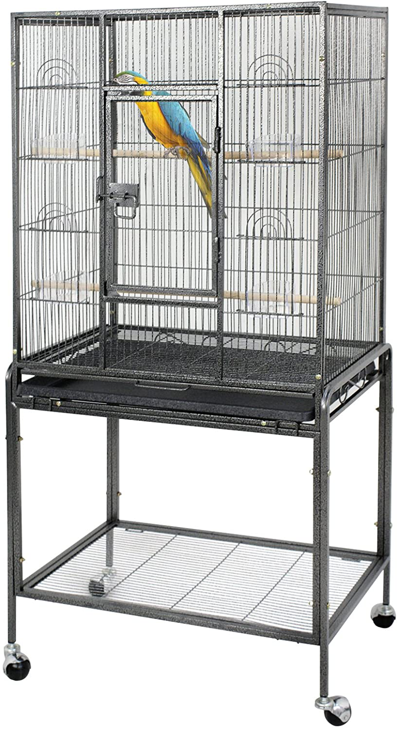 Junglea 53 Inches Bird Cage with Rolling Stand Wrought Iron Construction for Parrot Cockatiel Cockatoo Parakeet Macaw Finches Pet Supplies Animals & Pet Supplies > Pet Supplies > Bird Supplies > Bird Cages & Stands JungleA   