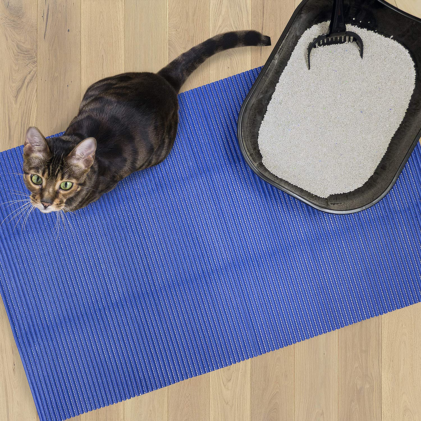 Fresh Kitty Durable XL Jumbo Foam Litter Mat – Phthalate and BPA Free, Water Resistant, Traps Litter from Box, Scatter Control, Easy Clean Mats – Blue (9032) Animals & Pet Supplies > Pet Supplies > Cat Supplies > Cat Litter Box Mats Fresh Kitty   