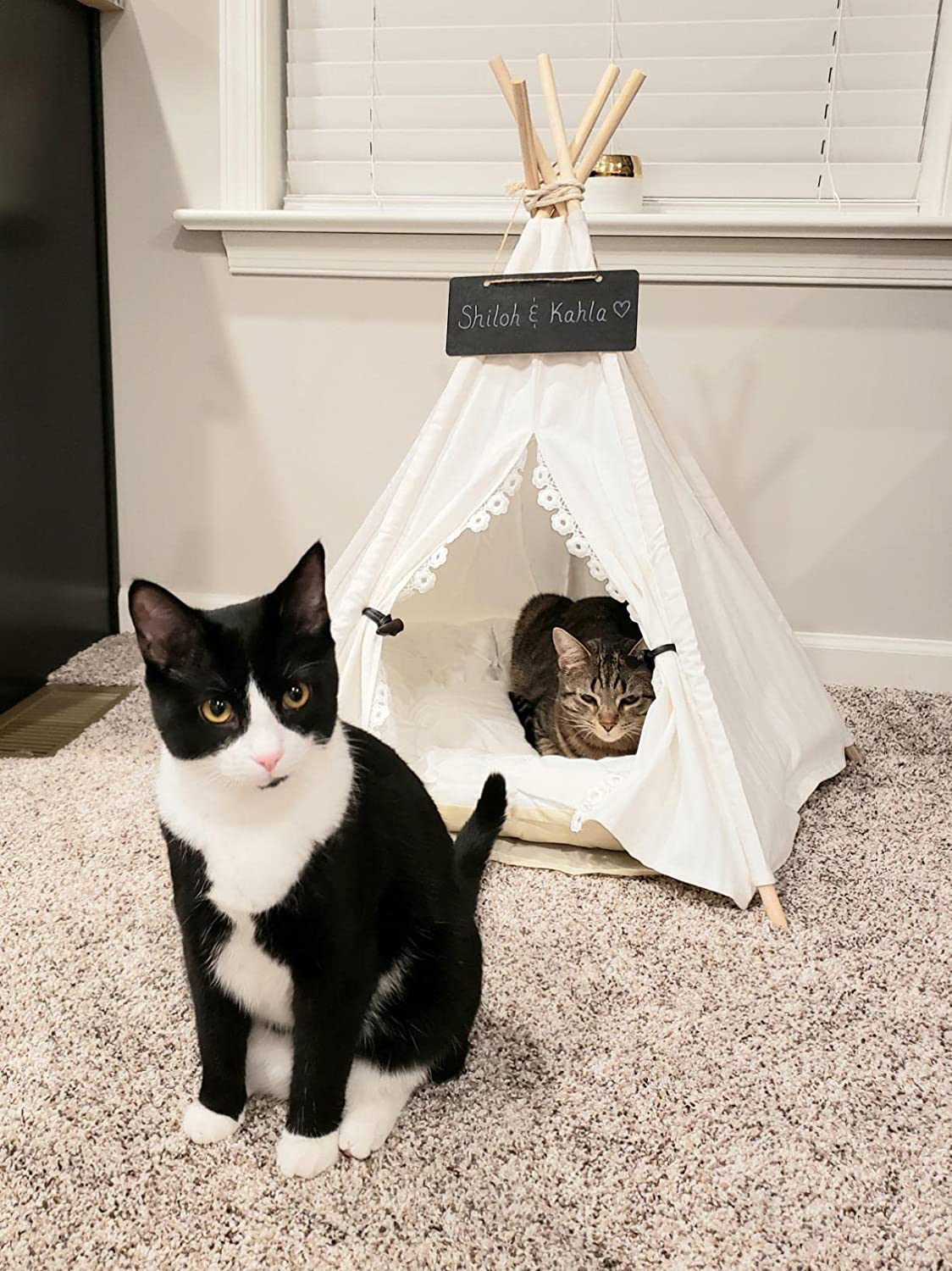 Penck Pet Teepee Dog & Cat Bed - Portable Dog Tents & Pet Houses with Thick Cushion & Blackboard, 24 Inch Tall, for Pets up to 15Lbs