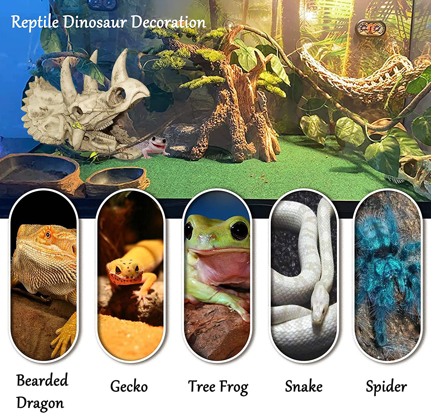 Tfwadmx Bearded Dragon Tank Accessories Resin Dinosaur Triceratops Skull Skeleton Reptiles Hideouts Cave Vines Leaves Aquarium Decorations for Lizards,Chameleon,Snake,Spider,Gecko