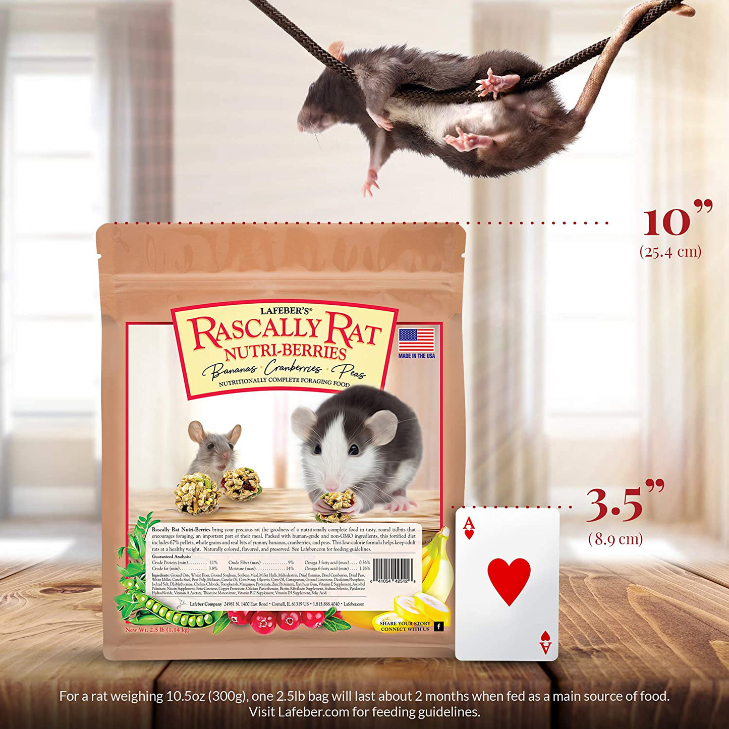 Rascally Rat Nutri-Berries 2.5 Lb Animals & Pet Supplies > Pet Supplies > Small Animal Supplies > Small Animal Food LAFEBER'S   