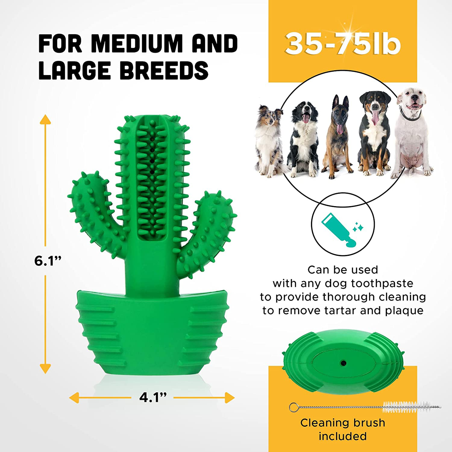 Fun + Tasty Dog Chew Toy - Dog Toothbrush Cactus, Squeaky Toy, Dog Teeth Cleaning Toy, Durable 100% Natural Rubber Dental Chew Toy for Medium/Large Dogs, Doggie Teeth Brushing Stick, Puppy Dental Care Animals & Pet Supplies > Pet Supplies > Dog Supplies > Dog Toys SYLVAN PERIAPT   