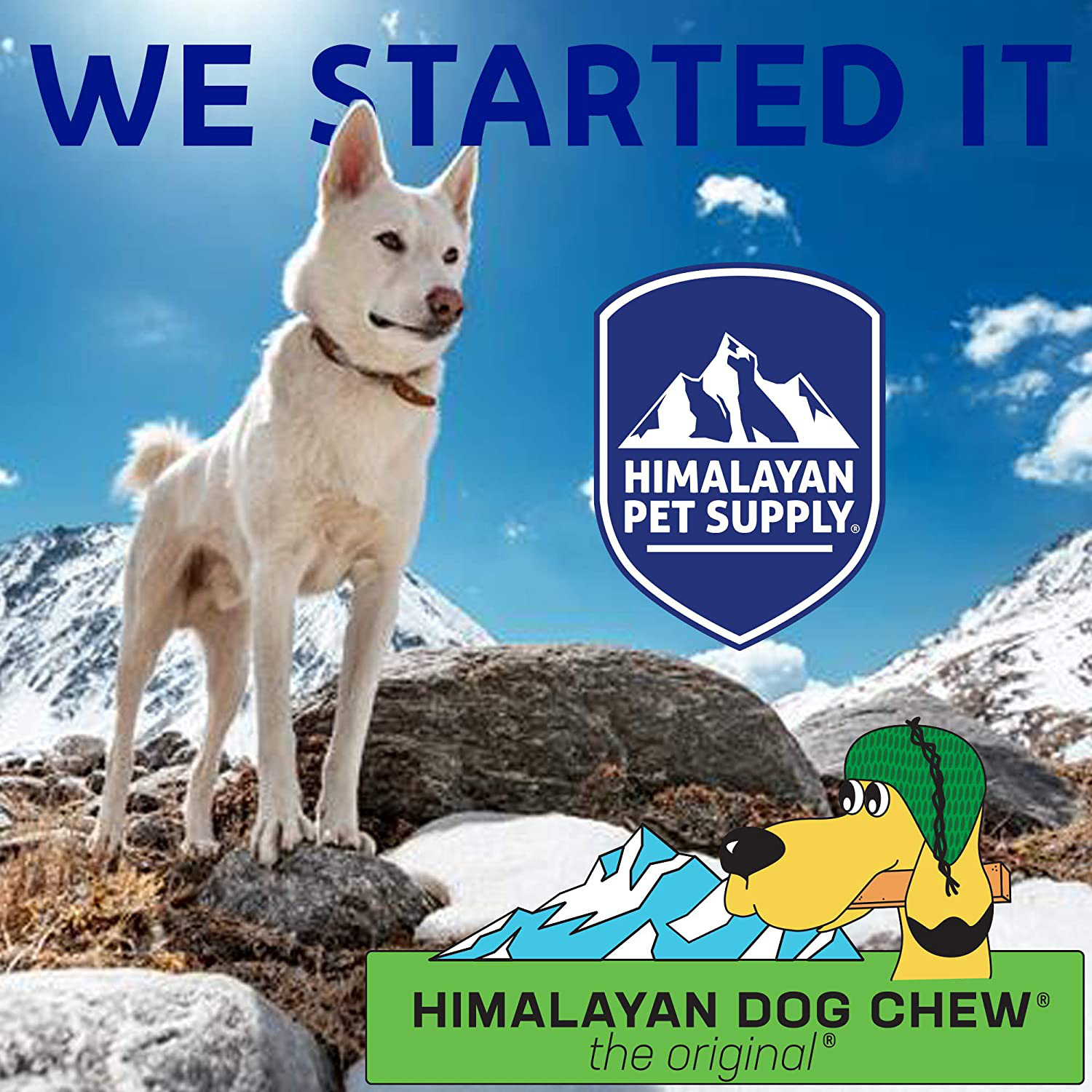 Himalayan Yak Cheese Dog Chews | the Original Himalayan Hard Cheese Dog Chew | 100% Natural, Healthy & Safe | No Lactose, Gluten or Grains | MIXED SIZES | for Dogs 65 Lbs & Smaller Animals & Pet Supplies > Pet Supplies > Dog Supplies > Dog Treats Himalayan Dog Chew   