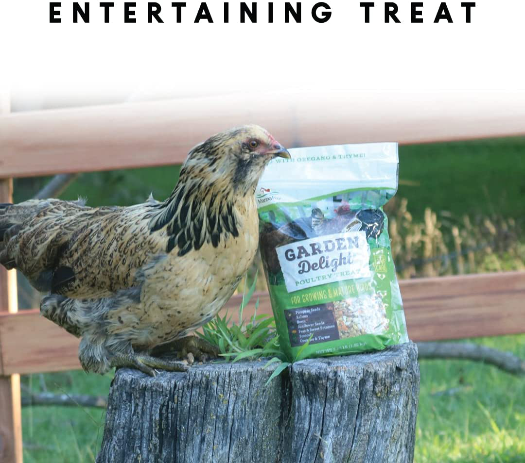 Manna Pro Chicken Scratch | Garden Grains, Treat for Chicken Coop, Duck Food, Chicken Supplies |2.25 Pound (Pack of 1) Animals & Pet Supplies > Pet Supplies > Bird Supplies > Bird Treats Manna Pro   