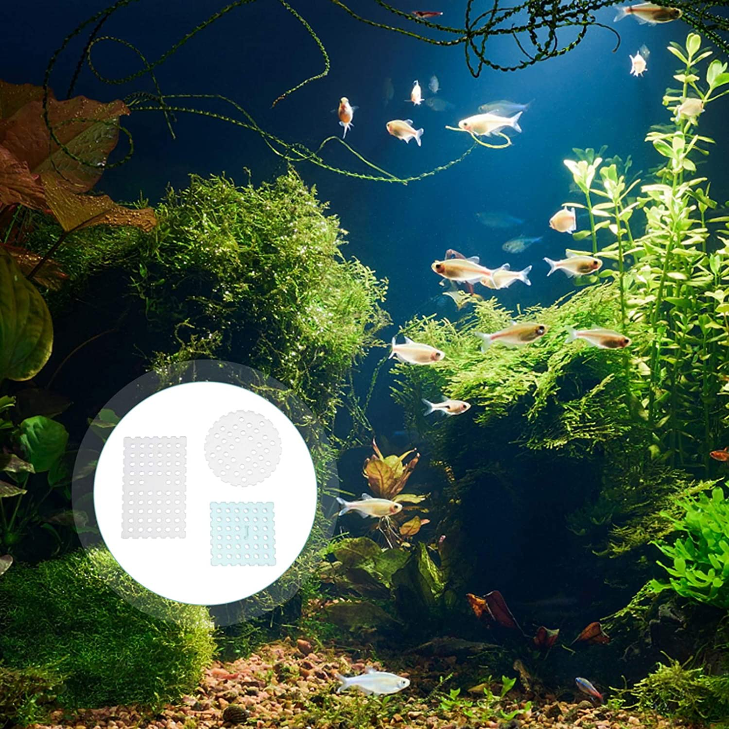 POPETPOP 3Pcs Aquatic Moss Wall Floor Mesh Acrylic Decorative Moss Carpet for Fish Tank Aquarium Water Grass Fixing Net round Square Animals & Pet Supplies > Pet Supplies > Fish Supplies > Aquarium Fish Nets POPETPOP   