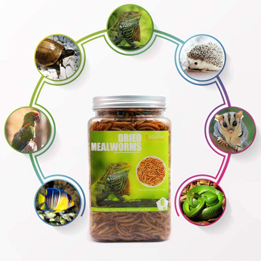 Reptile Food Dried Mealworms Pet Worms Food for Bearded Dragon, Lizard, Turtles, Chameleon, Monitor, Frog, Sugar Glider, Chickens, Ducks, Wild Birds, Fish, Hamsters and Hedgehogs Animals & Pet Supplies > Pet Supplies > Reptile & Amphibian Supplies > Reptile & Amphibian Food Sequoia   