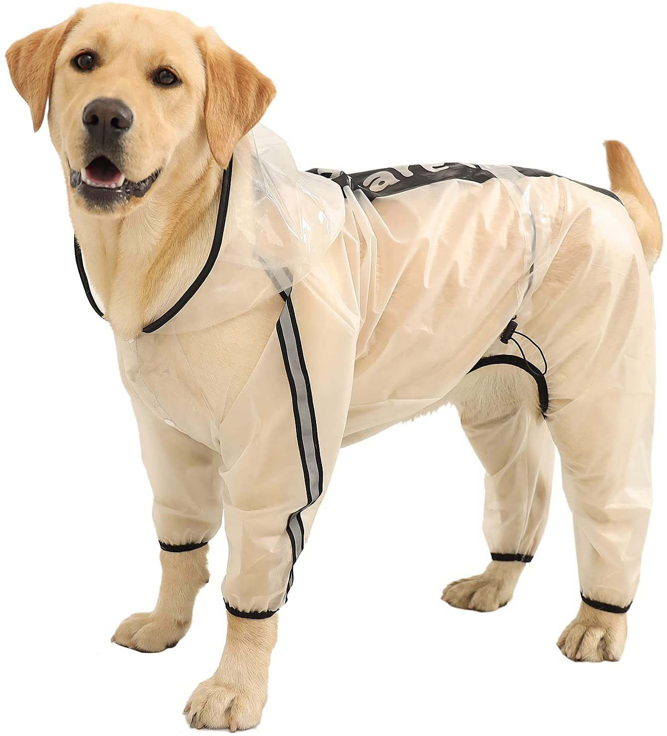 Dog best sale rain jacket