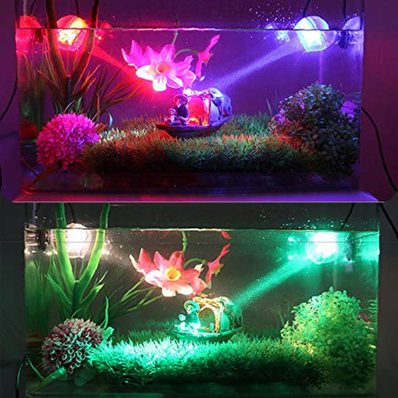 Lighting Guide For Low-Tech Planted Aquariums