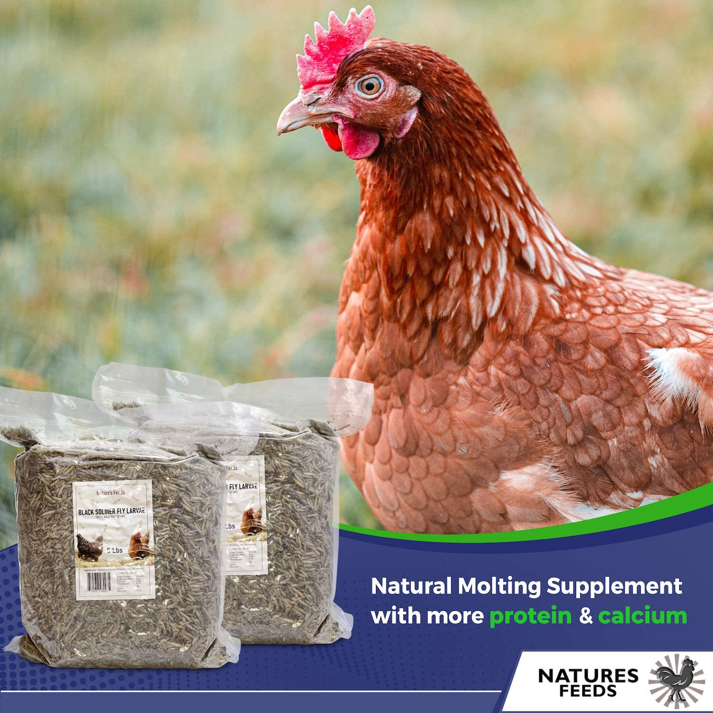 Naturesfeeds Superior Chicken Treats (10 Lbs) - 85X More Calcium Vs Mealworms - Chicken Feed & Molting Supplement - BSF Larvae Treats for Birds, Hens, Ducks, Chickens, Reptiles, Lizards Animals & Pet Supplies > Pet Supplies > Bird Supplies > Bird Treats NATURES FEEDS   