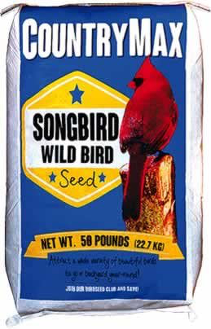 Countrymax Songbird Wild Bird Seed 50 Pounds Animals & Pet Supplies > Pet Supplies > Bird Supplies > Bird Food CountryMax   