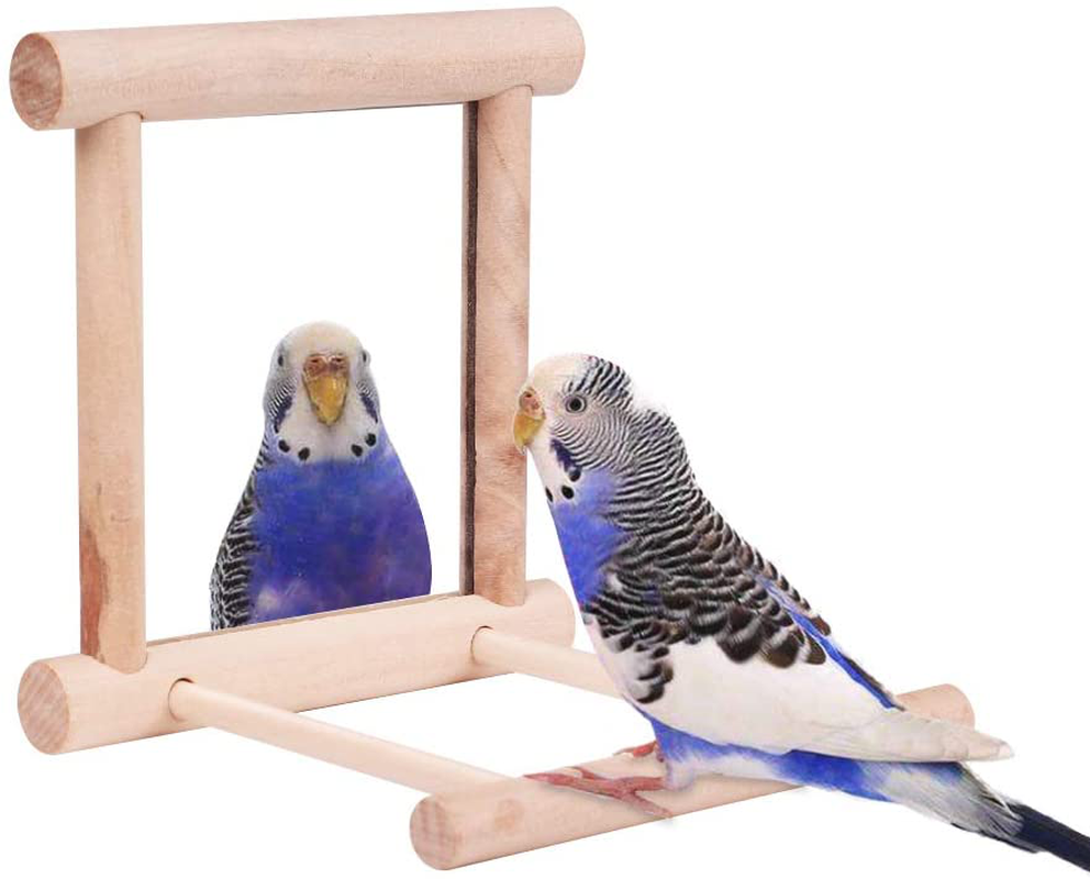 HAPPTYTOY Bird Toy for Parrot Parakeets Conures Cockatiels Cage Swing Wooden Fun Play Toy for Birds (Mirror) Animals & Pet Supplies > Pet Supplies > Bird Supplies > Bird Toys Сhewbo   