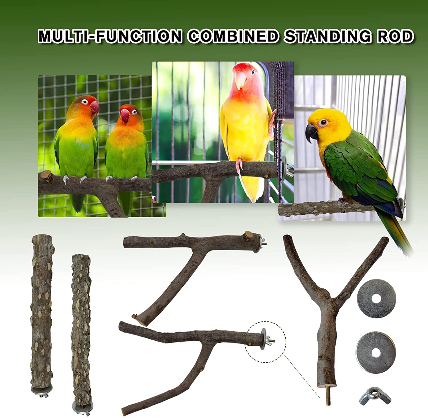 RF-X Bird Toys Perch Wood, Parrot Toys Natural Branch Standing Stick Set of 5, Suitable for Macaws, Budgies, Lovebirds, Finches, Small and Medium Sized Bird Toys Animals & Pet Supplies > Pet Supplies > Bird Supplies > Bird Toys RF-X   