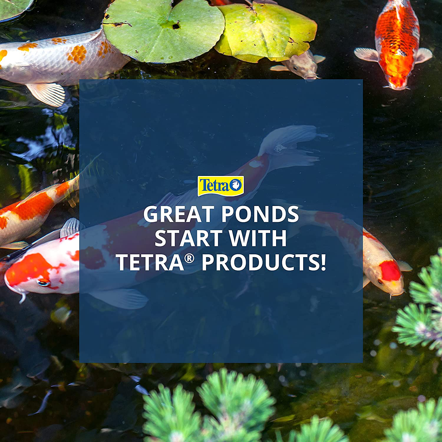 Tetrapond Pond Tubing 3/4 Inch Diameter, 20 Feet Long, Connects Pond Components