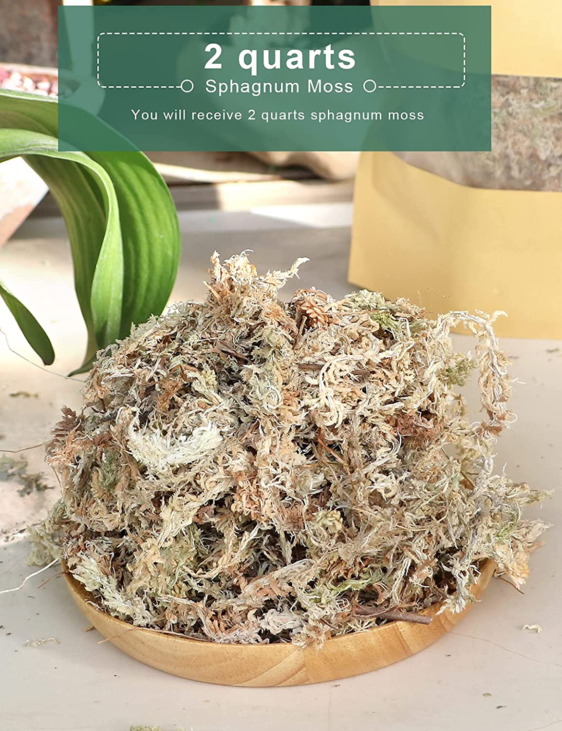 Orchid Sphagnum Moss, 2Qt Succulent Dried Moss, Garden Bonsai Pot Mix, Moisture-Holding Plant Growing Medium for Flowers Plant Pot and Reptiles Animals & Pet Supplies > Pet Supplies > Reptile & Amphibian Supplies > Reptile & Amphibian Substrates TOYPOPOR   