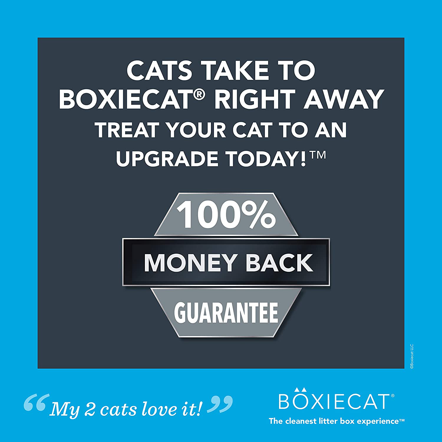 Boxiecat Premium Clumping Cat Litter - Scent Free - Clay Formula - Ultra Clean Litter Box, Longer Lasting Odor Control, Hard Clumping Litter, 99.9% Dust Free Animals & Pet Supplies > Pet Supplies > Cat Supplies > Cat Litter Boxiecat LLC   