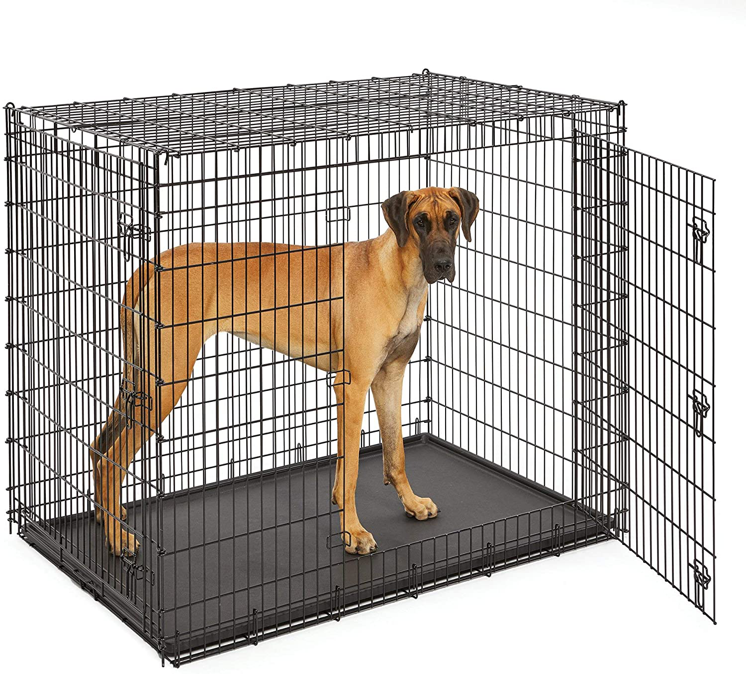 Midwest Homes for Pets XXL Giant Dog Crate | 54-Inch Long Ginormous Dog Crate Ideal for a Great Dane, Mastiff, St. Bernard & Other XXL Dog Breeds Animals & Pet Supplies > Pet Supplies > Dog Supplies > Dog Kennels & Runs MidWest Homes for Pets Double Door  