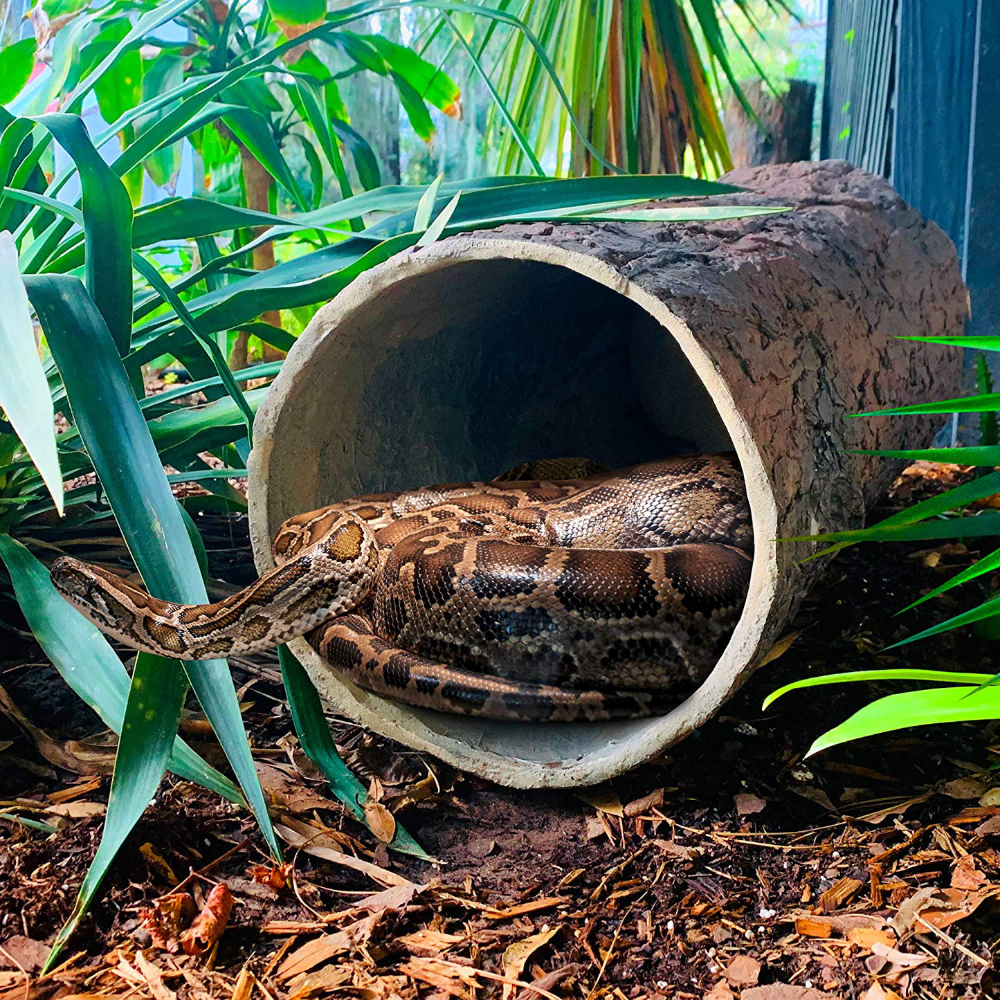 Hollow Hideaway 🌳 Large Tree Stump Reptile Hideout for Snakes, Lizards, Turtles and Critters.