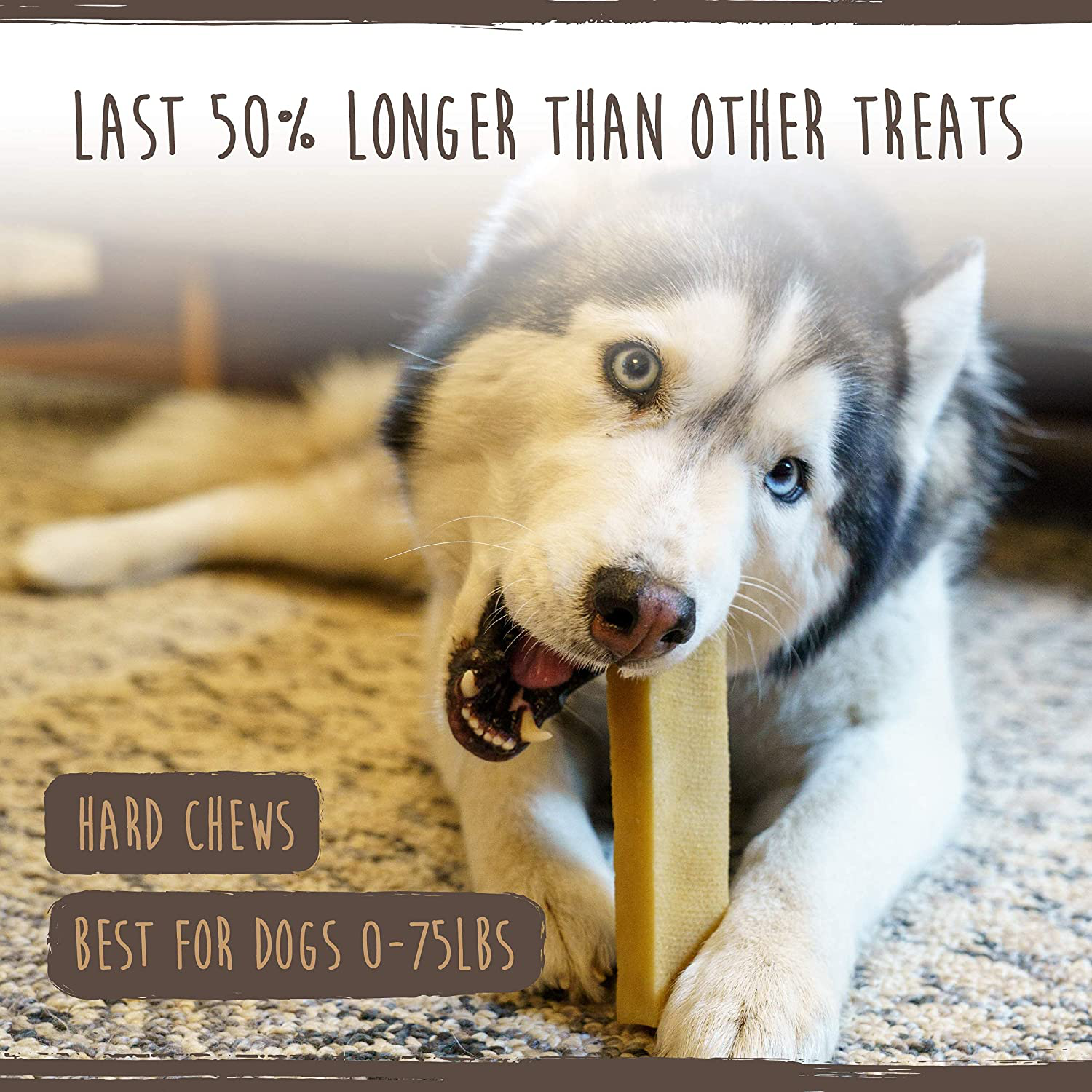 Mighty Paw Yak Cheese Chews for Dogs | All-Natural Long Lasting Pet Treats. Odorless and Great for Oral Health. Limited-Ingredient Himalayan Chews for Puppies & Power-Chewers Animals & Pet Supplies > Pet Supplies > Dog Supplies > Dog Treats Mighty Paw   