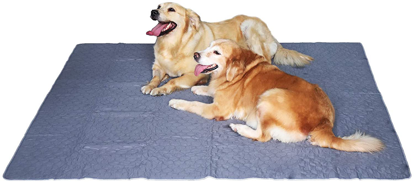 Trusupetta Upgrade Non-Slip Dog Pads Extra Large 72" X 72", Washable Puppy Training Pads with Fast Absorbs, Waterproof for Housebreaking, Incontinence, for Playpen, Whelping Box, Kennel, Crate