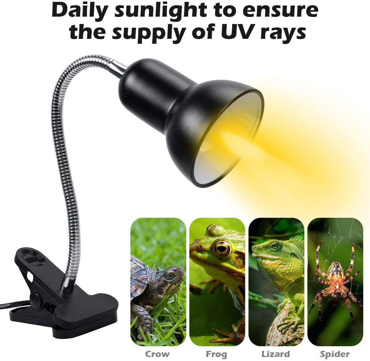 Reptile Heat Lamp with Dimmable Switch,Adjustable Basking Spot Heat Lamp for Animal Enclosures & Aquariums W/360° Rotatable Arm & Heavy-Duty Clamp –Suitable for Reptiles, Fish, Insects and Amphibians Animals & Pet Supplies > Pet Supplies > Reptile & Amphibian Supplies > Reptile & Amphibian Habitat Accessories Altobooc   