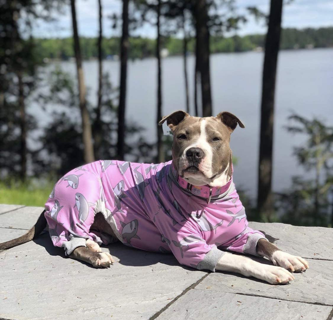 Tooth & Honey Tooth and Honey Pit Bull Pajamas/Rubber Duck  Print/Lightweight Pullover Pajamas/Full Coverage Dog pjs/Yellow with Grey  Trim