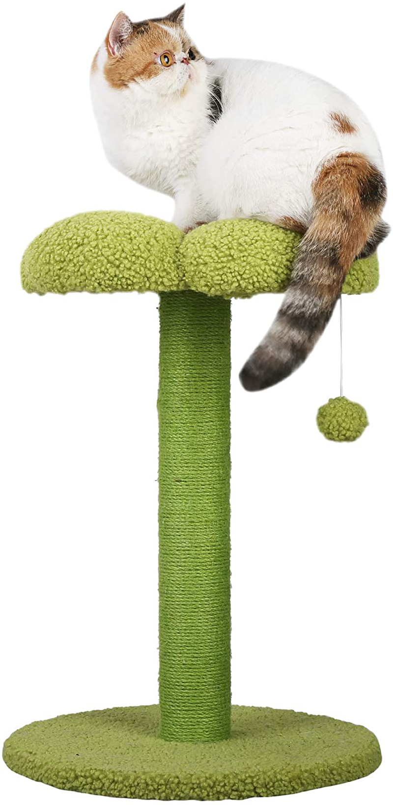 Petnpurr Cat Flower Scratching Post, Perch and Activity Tree with Teaser Ball Toy – Designed to Protect Your Home Furniture with Natural Sisal Scratcher Animals & Pet Supplies > Pet Supplies > Cat Supplies > Cat Furniture PetnPurr   