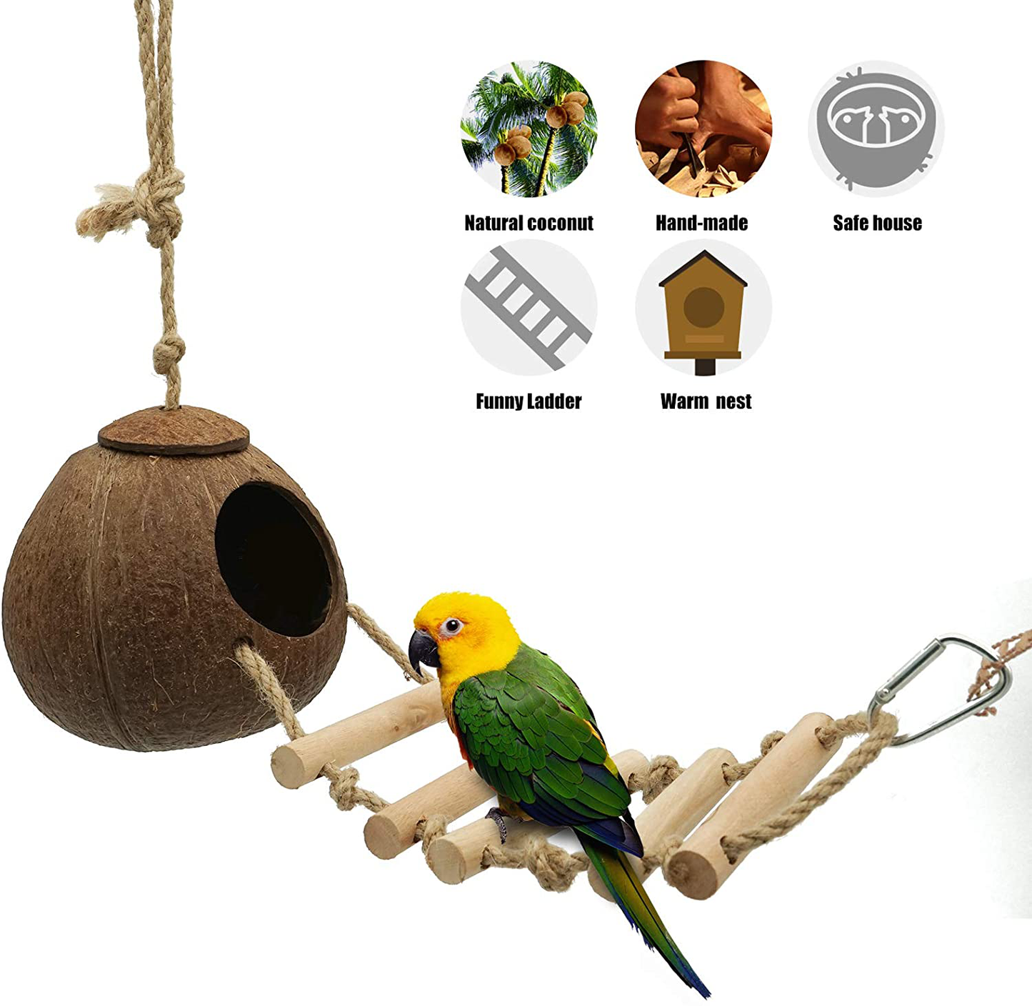 Seaokais Natural Coconut Shell Hideaway with Ladder Hamster Toys Bird – KOL  PET
