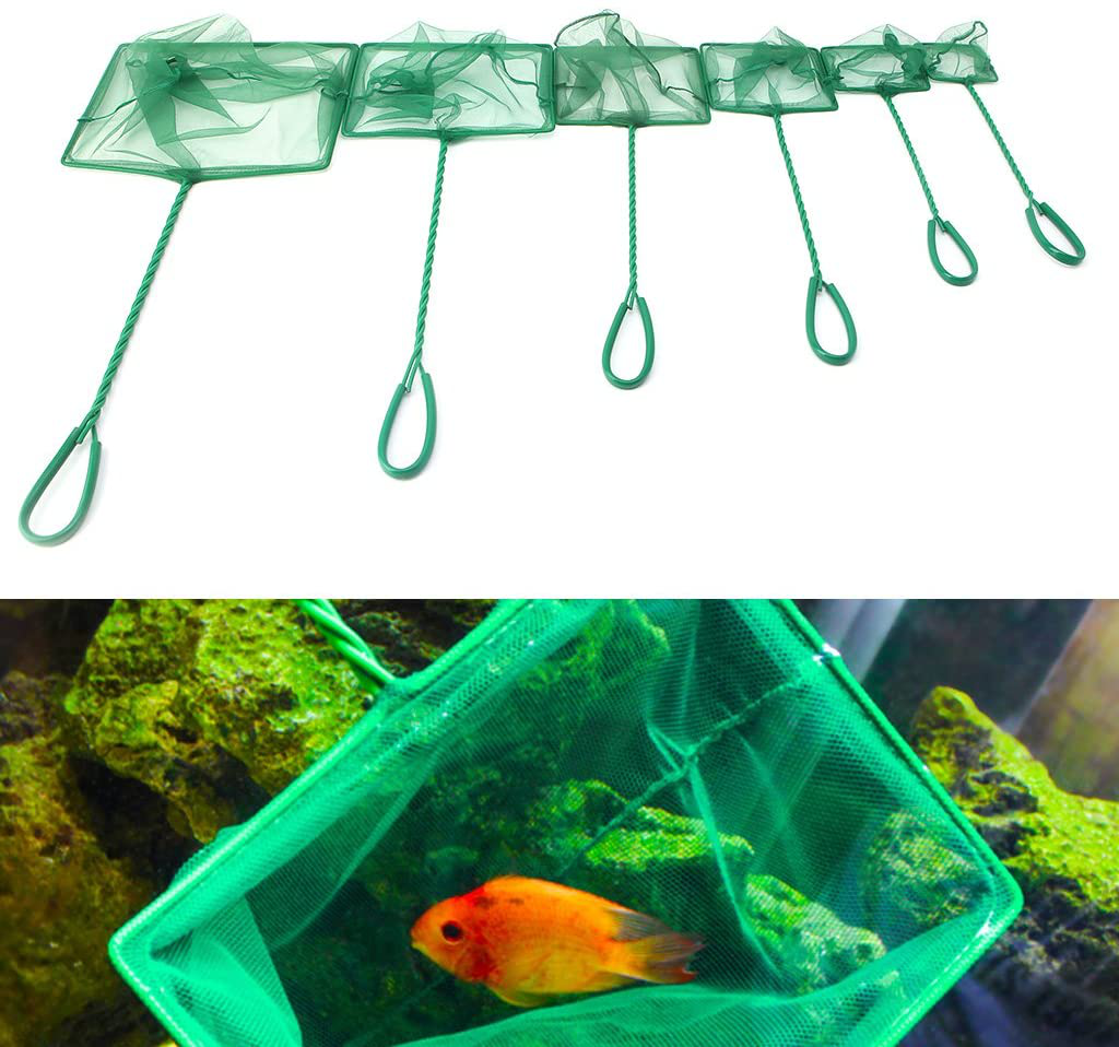 Amrka 1PC Aquarium Fish Tank Square Shrimp Small Betta Tetra Fish Net 6 Sizes Animals & Pet Supplies > Pet Supplies > Fish Supplies > Aquarium Fish Nets Amrka 6": 5.91''x4.92''  