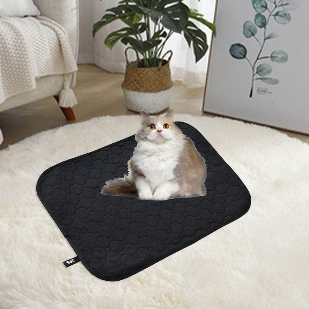 Baoblaze Cooling Cat Litter Mat Non-Slip Breathable Washable Easy Clean Non Toxic Four-Layer Waterproof Non-Slip Urine Waterproof for Litter Boxes Animals & Pet Supplies > Pet Supplies > Cat Supplies > Cat Litter Box Mats Baoblaze   