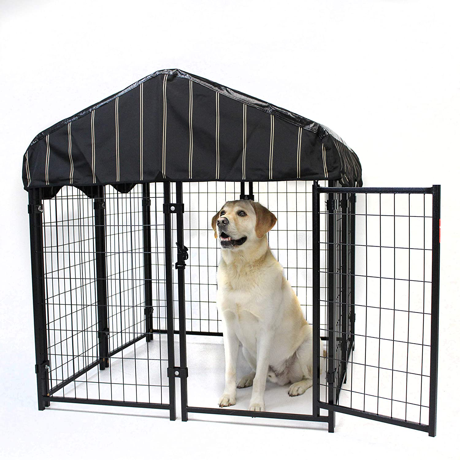 Lucky dog pet sales kennel