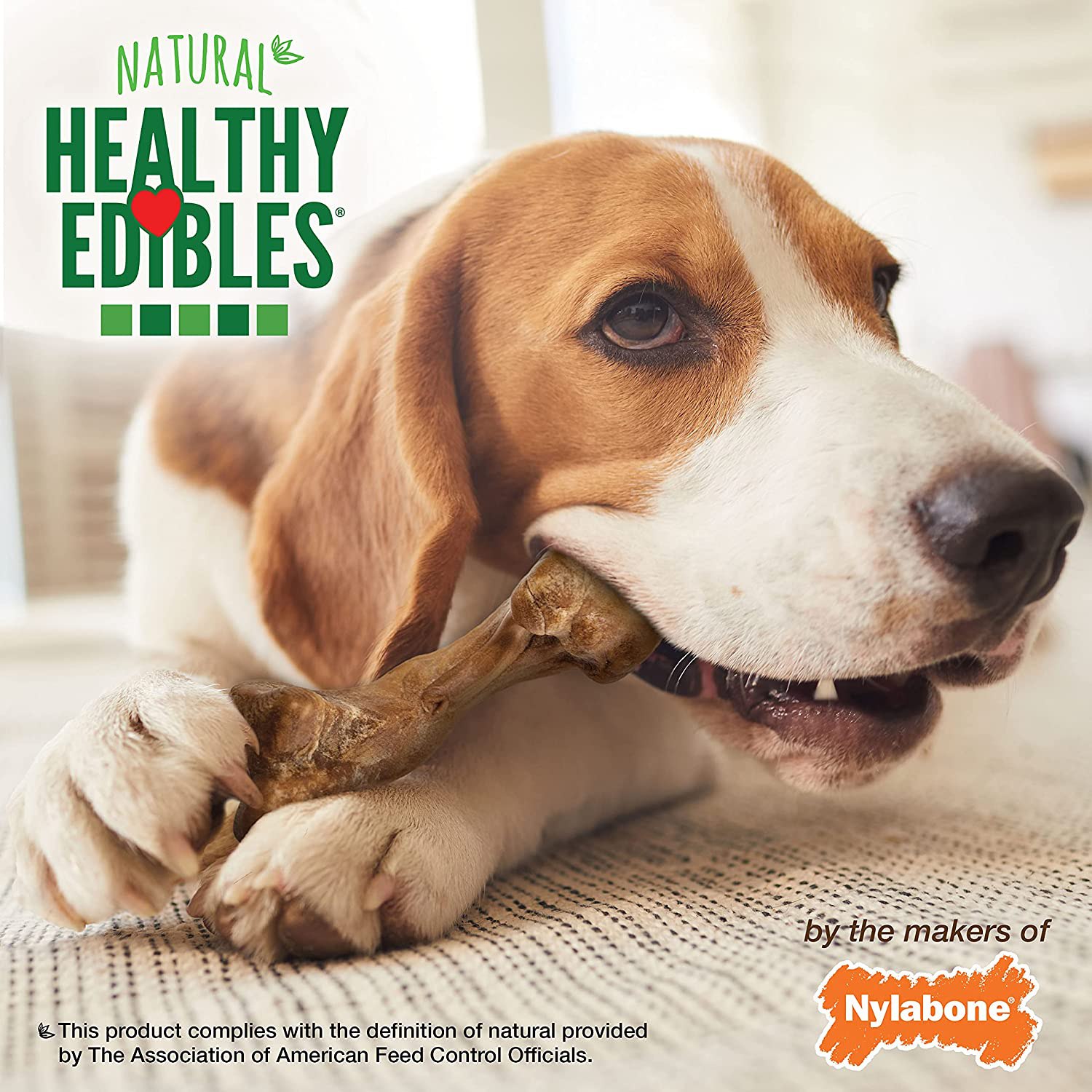 Nylabone Healthy Edibles Wild Dog Treat | Long- Lasting | All Natural | Dog Bone Treats for Small/ Medium/ Large/ Giant Dogs | Made in the USA | Bison Flavored | Venison Flavored | Multi- Flavored Animals & Pet Supplies > Pet Supplies > Dog Supplies > Dog Treats Nylabone   