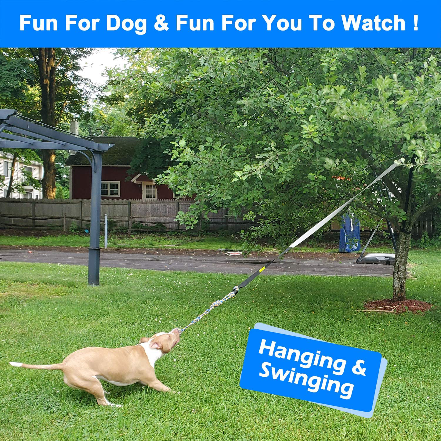 LOOBANI Dog Outdoor Bungee Hanging Toy, Interactive Tether Tug Toy for Small to Large Dogs to Exercise & Solo Play,Durable Tugger for Tug of War,With Chew Rope Toy Animals & Pet Supplies > Pet Supplies > Dog Supplies > Dog Toys LOOBANI   