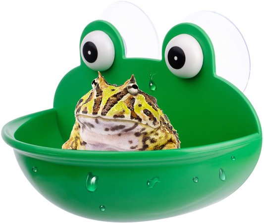 Rederdjskj Amphibian Aquatic Frog Habitat, Cute Fish Tank Decoration, Suitable for Frog/Toad/Gecko/Tadpole/Turtle and Other Small Aquatic Animals
