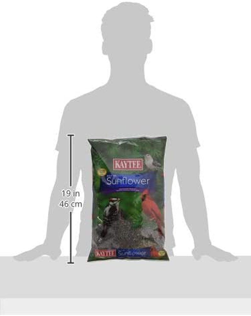 Kaytee Wild Bird Black Oil Sunflower Food, 5 Pounds Animals & Pet Supplies > Pet Supplies > Bird Supplies > Bird Food Central Garden & Pet   