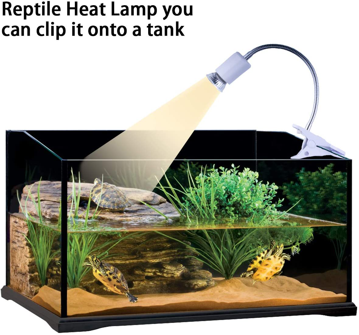 Turtle heat lamp bulb hotsell