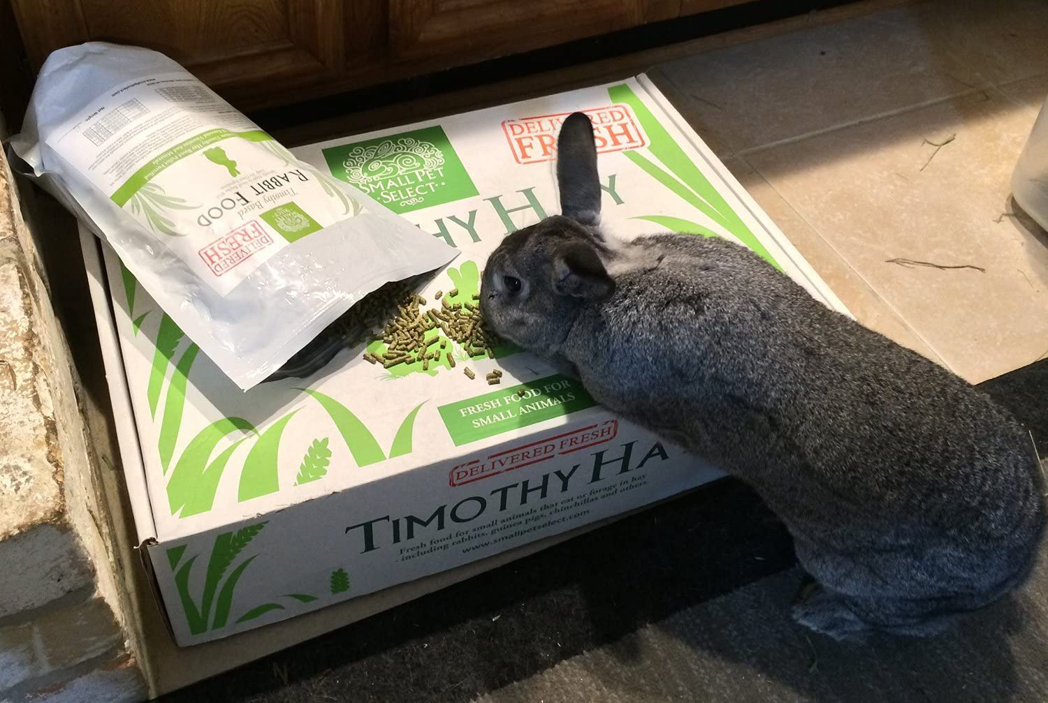 Small Pet Select Rabbit Food Pellets Animals & Pet Supplies > Pet Supplies > Small Animal Supplies > Small Animal Food Small Pet Select   