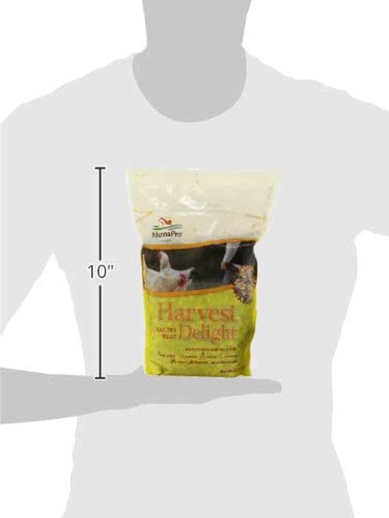 Manna Pro Chicken Treats | Harvest Delight Chicken Scratch | Chicken Feed Treat | Chicken Scratch Feed | 2.5 Pounds Animals & Pet Supplies > Pet Supplies > Bird Supplies > Bird Treats Manna Pro   