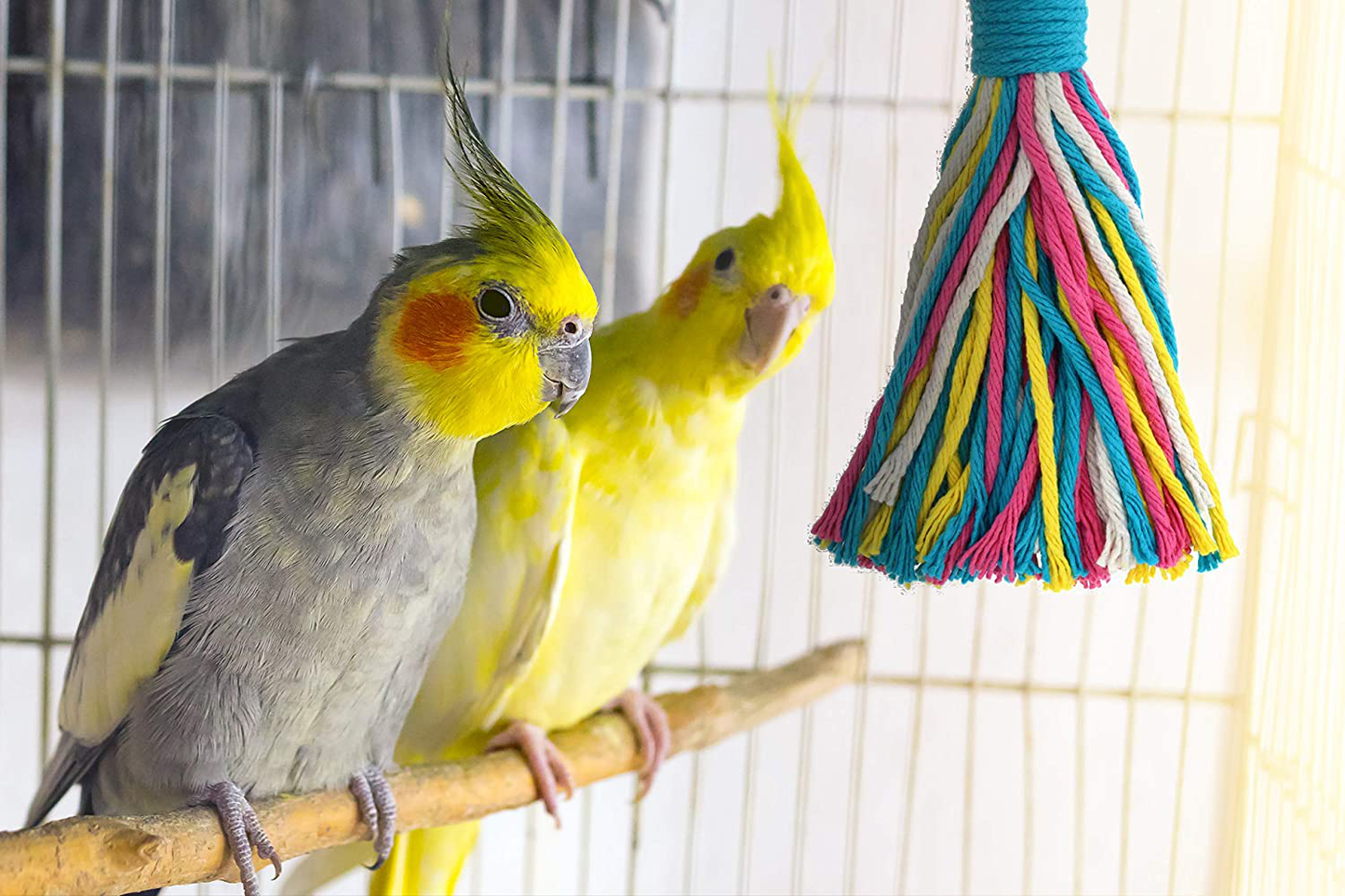 Sweet Feet and Beak Platinum Tweeter Weave Bird Toys - Perfect Cage Toy for Playing & Preening - Colorful, Safe, Cotton Rope - Birds Cage Playground Accessories & Supplies - Parrot Toys (Large) Animals & Pet Supplies > Pet Supplies > Bird Supplies > Bird Toys Sweet Feet and Beak   