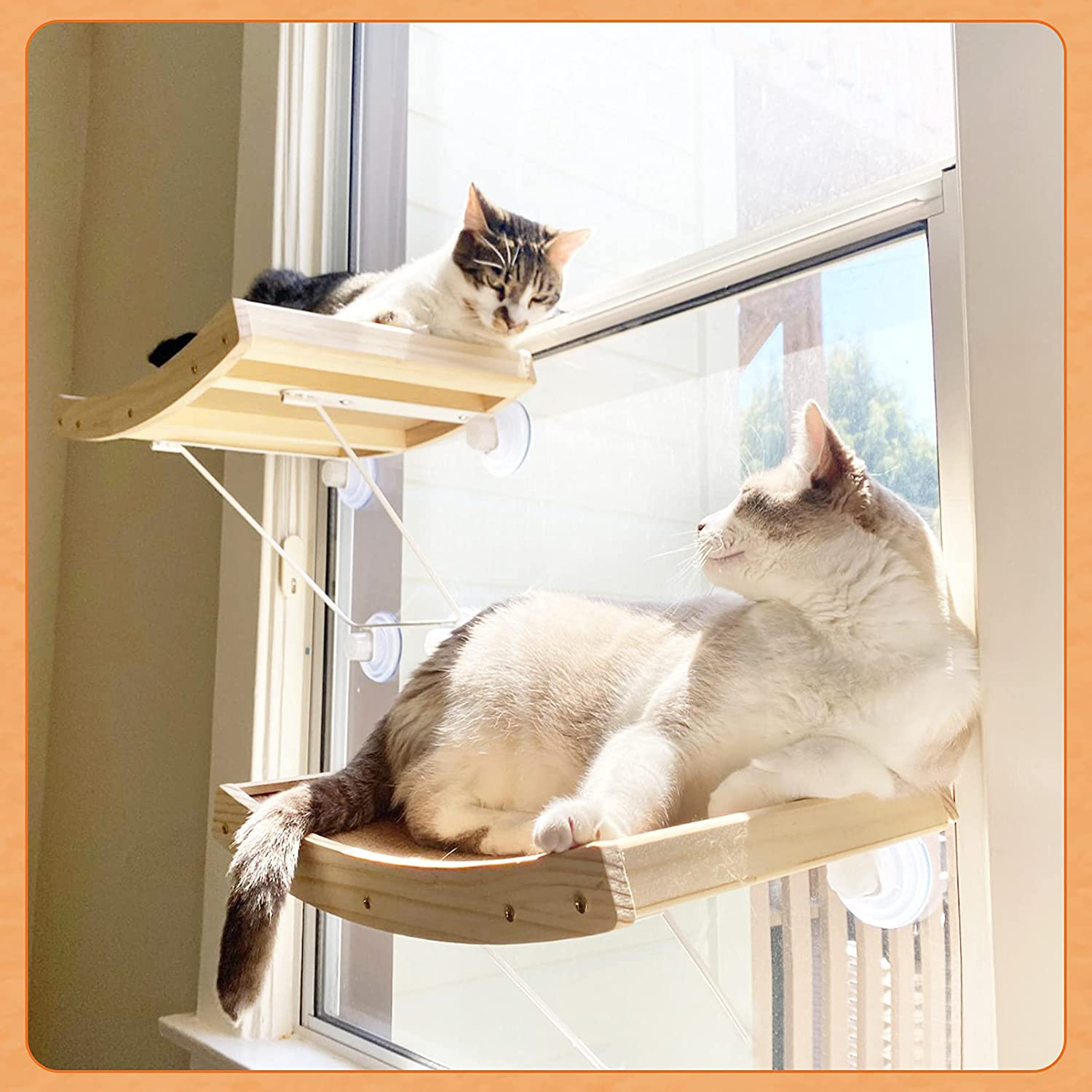JOYO Cat Window Perch, Cat Hammock Window Seat with Strong Suction Cups, Window Mounted Cat Bed for Indoor Cats, Weighted up to 40Lb, Safety, Space Saving, Easy to Assemble