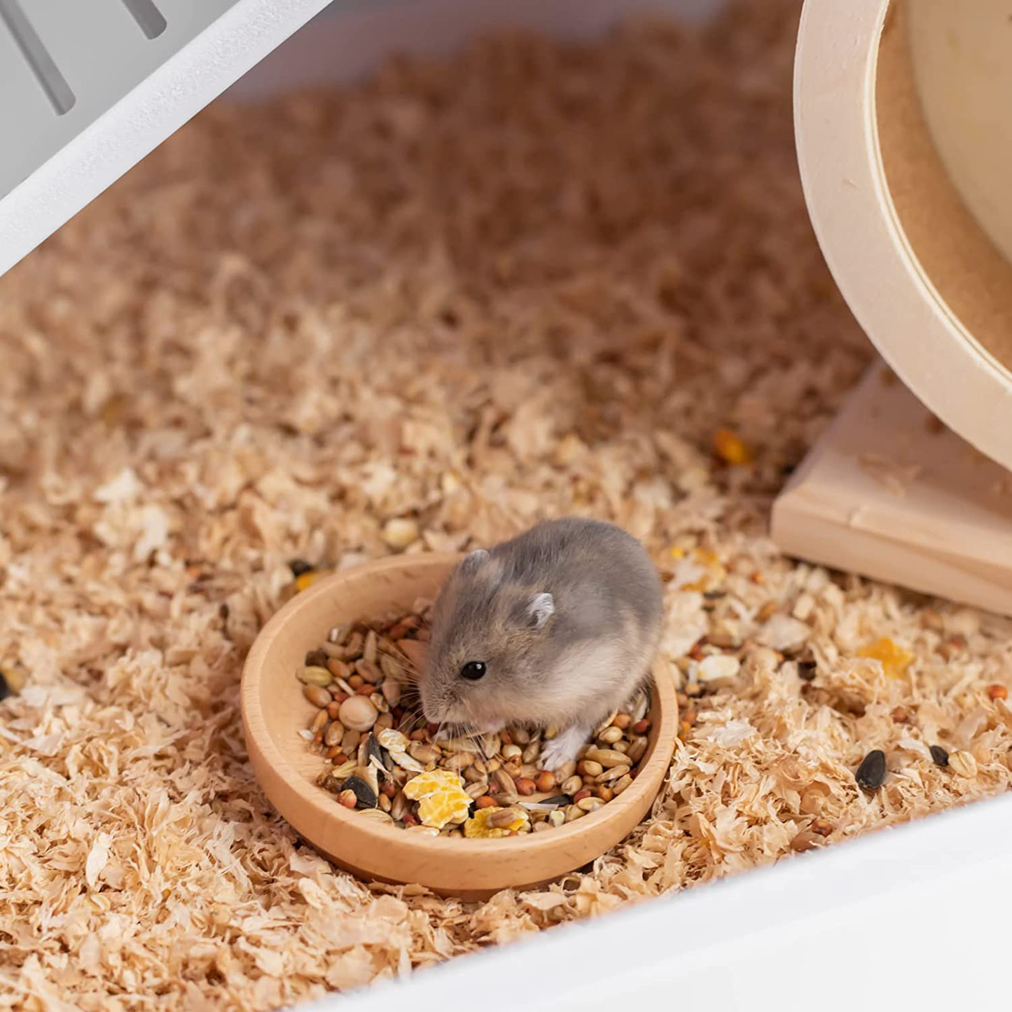 Hamster Cage, YOUNFOREE Hamster Rat Mouse Gerbil Cages House Habitats Hideout, Small Animal Cage for Hamster Gerbil Degus Mices Animals & Pet Supplies > Pet Supplies > Small Animal Supplies > Small Animal Habitat Accessories younforee   