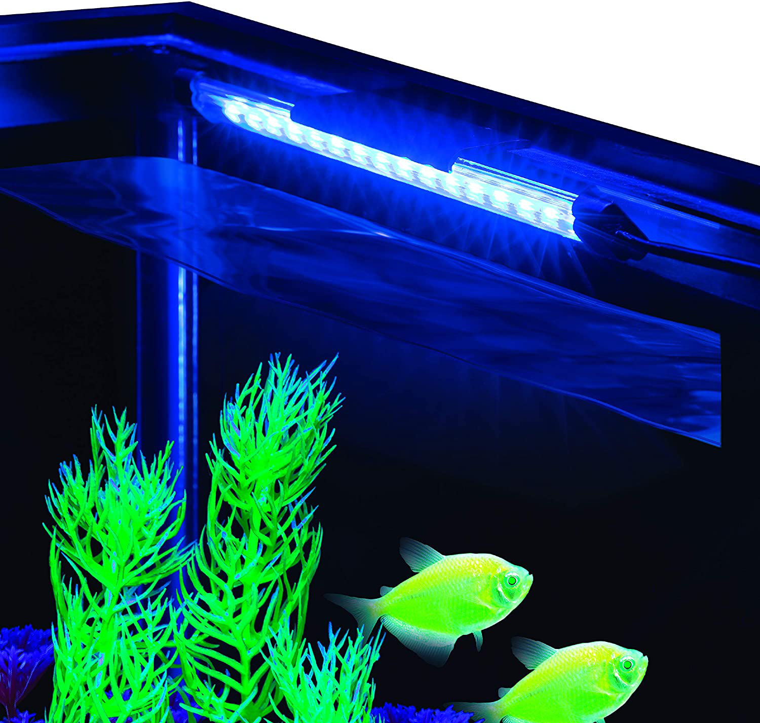 Glofish Blue LED Aquarium Light Animals & Pet Supplies > Pet Supplies > Fish Supplies > Aquarium Lighting GloFish   