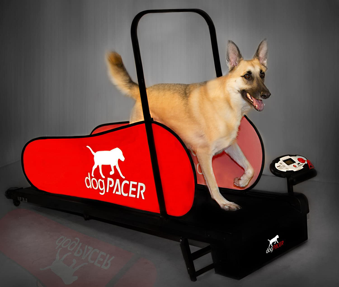 Dogpacer 91641 LF 3.1 Full Size Dog Pacer Treadmill, Black and Red Animals & Pet Supplies > Pet Supplies > Dog Supplies > Dog Treadmills dogPACER   