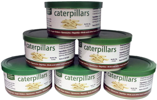 Canned Caterpillars (1.2 Oz. 6 Pack) - Healthy High Protein Insect Treat - Hedgehogs, Sugar Gliders, Reptiles, Wild Birds, Chickens, Lizards, Bearded Dragons, Skunks, Opossums, Fish, Amphibians Animals & Pet Supplies > Pet Supplies > Reptile & Amphibian Supplies > Reptile & Amphibian Food Exotic Nutrition   