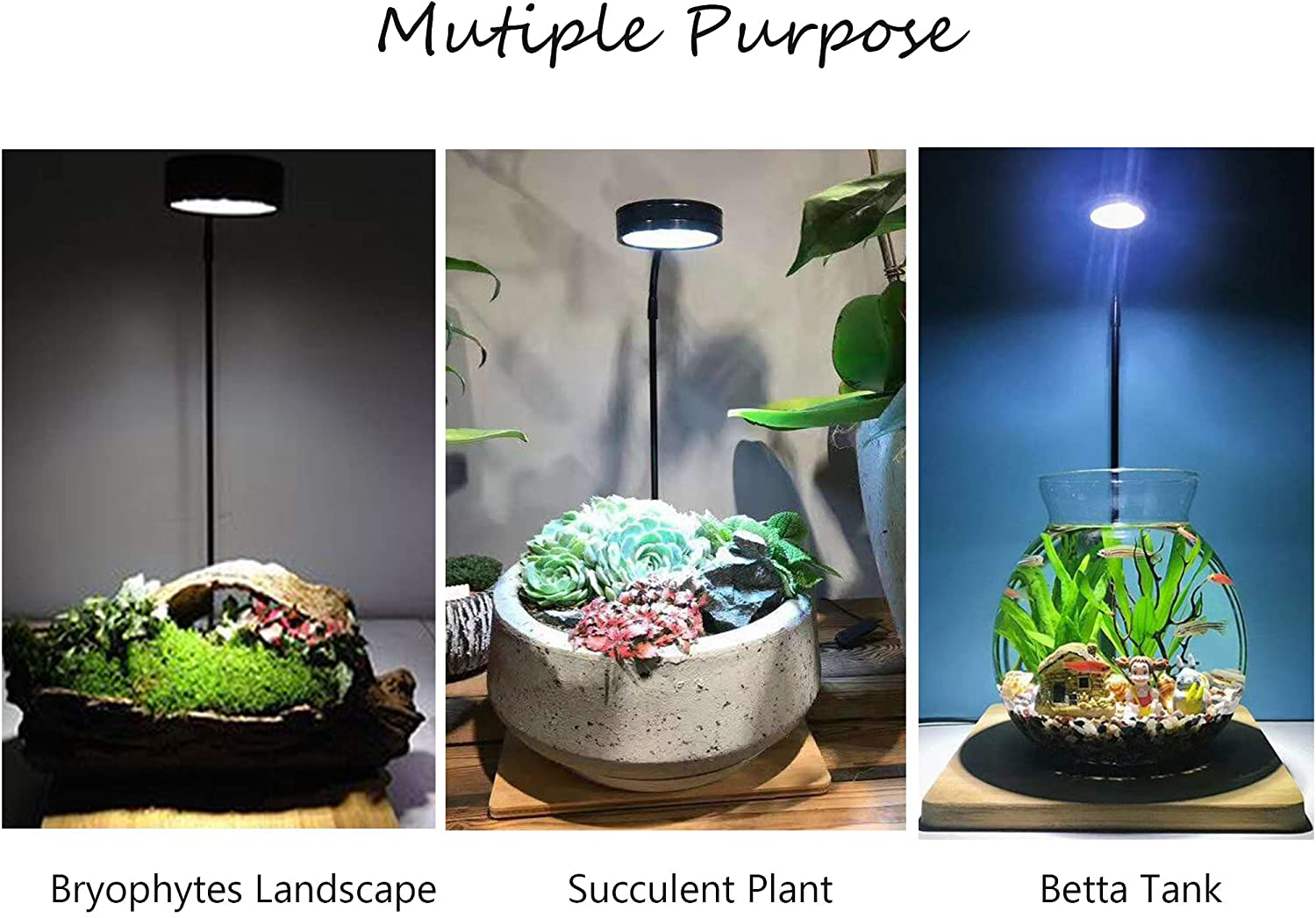 Full Spectrum LED Light with Bamboo Board, Fits Aquarium Nano Tank, Betta Fish Tank, Potted Plants, Succulent, Miniature Landscape Animals & Pet Supplies > Pet Supplies > Fish Supplies > Aquarium Lighting HIRO AQUATICS   