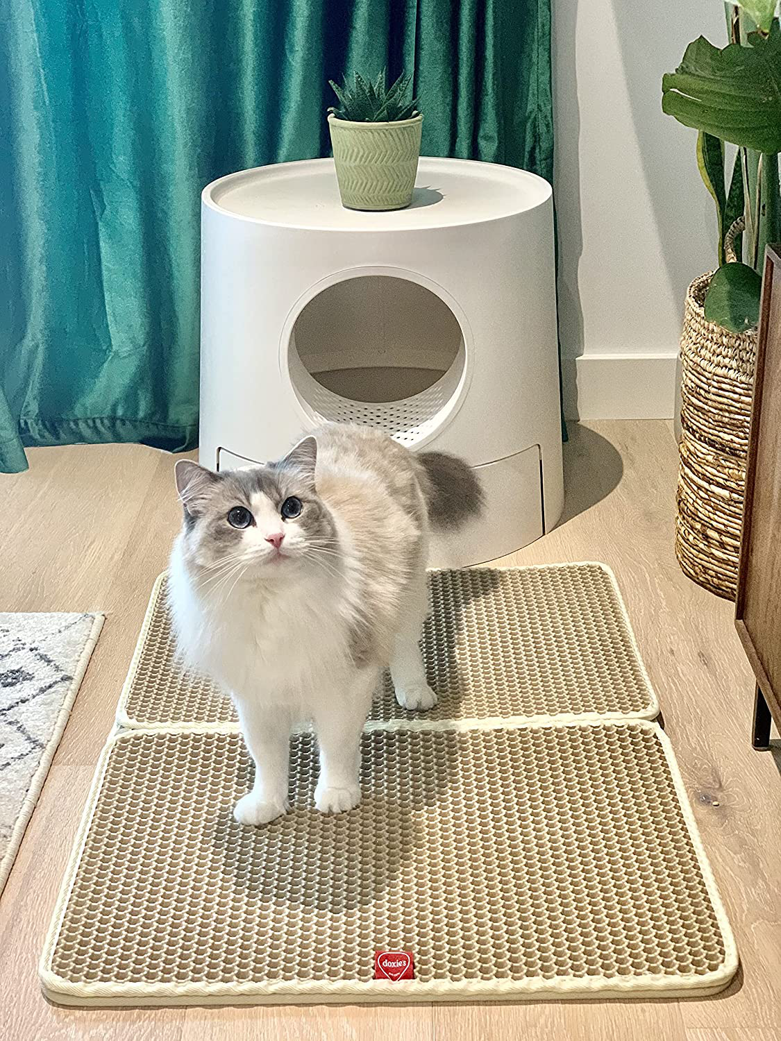 Layered sales litter box