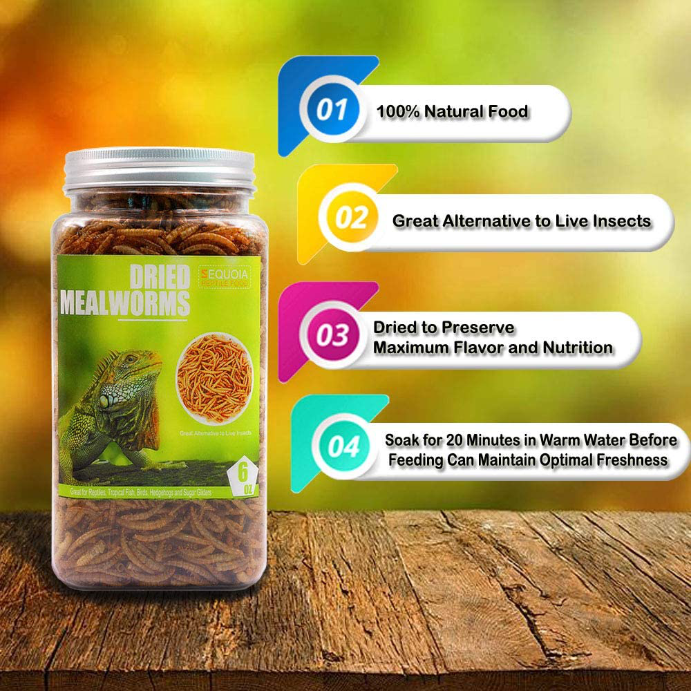 Reptile Food Dried Mealworms Pet Worms Food for Bearded Dragon, Lizard, Turtles, Chameleon, Monitor, Frog, Sugar Glider, Chickens, Ducks, Wild Birds, Fish, Hamsters and Hedgehogs Animals & Pet Supplies > Pet Supplies > Reptile & Amphibian Supplies > Reptile & Amphibian Food Sequoia   