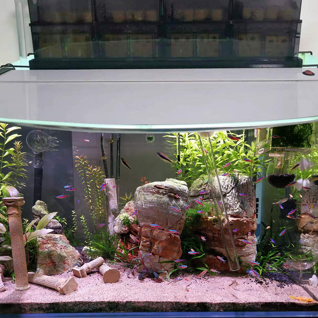 Hygger 6.2-Inch Long Large Aquarium Filter Media, Ceramic Bio Media Blocks for Sump Tank Pond Fish Tank Media 7.9 Lbs 40-Pack Animals & Pet Supplies > Pet Supplies > Fish Supplies > Aquarium Filters hygger   