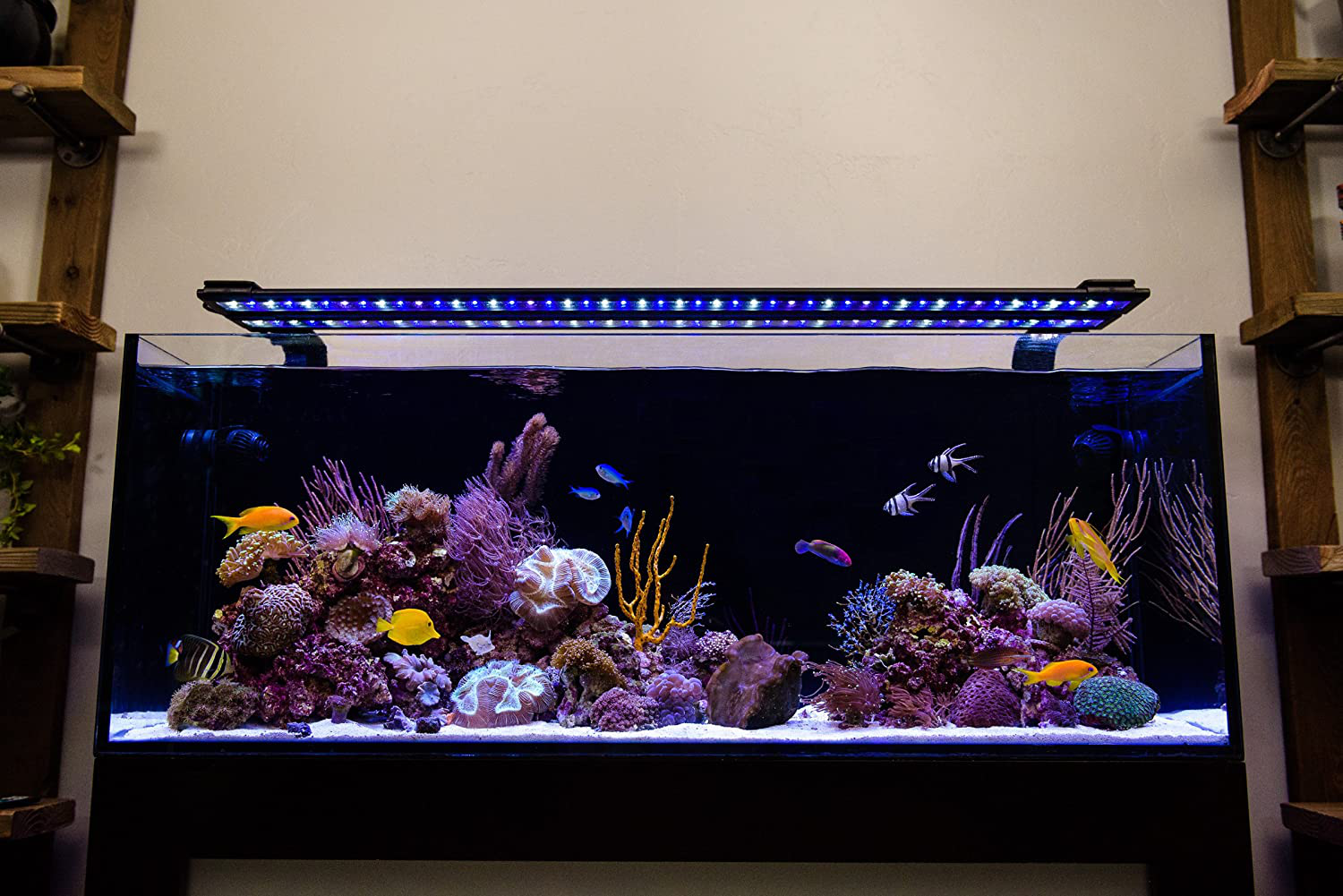 Current Orbit Marine IC PRO LED Reef Aquarium Dual Light System with Wireless Loop
